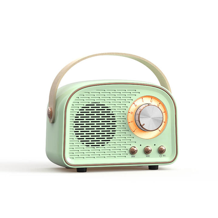 Vintage Bluetooth speaker with FM radio – RetroVibe
