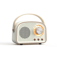 Vintage Bluetooth speaker with FM radio – RetroVibe
