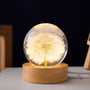 Kristallkugel-Lampe mit Ewigen Blumen – Lumora