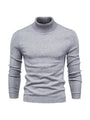 Trendiger Herrenrollkragenpullover - Lars