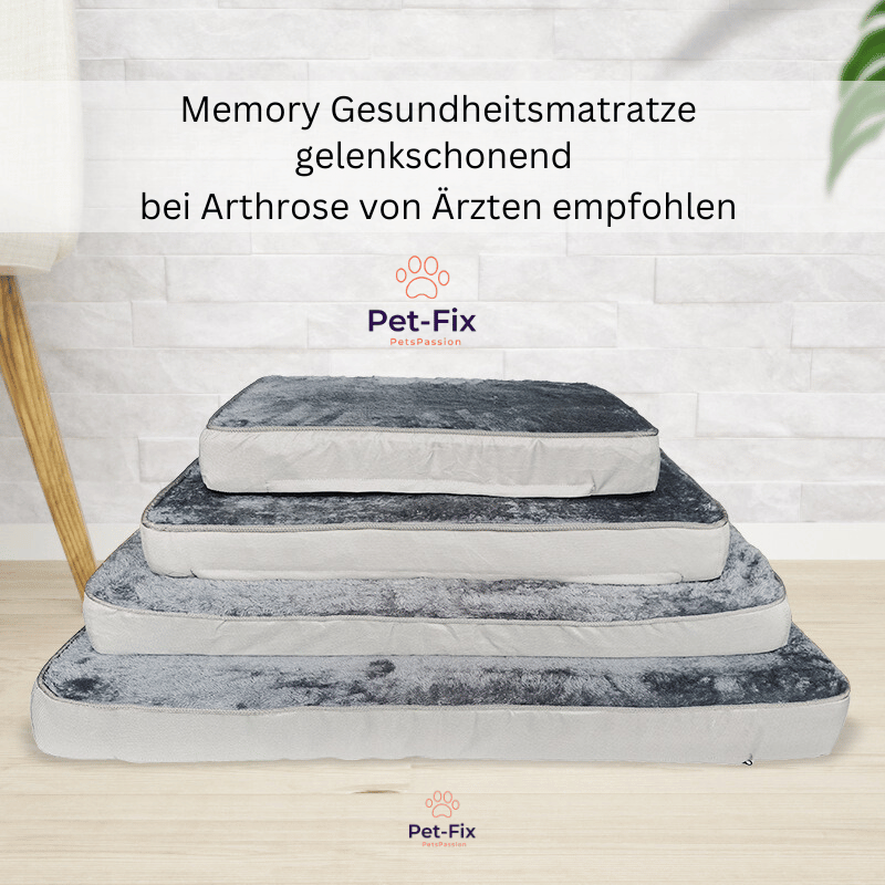 Hundekissen mit Memory-Schaum - DreamyPup