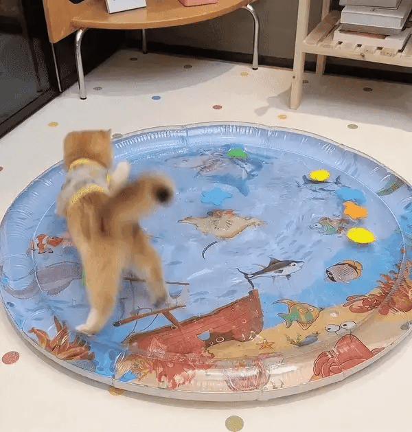 Interactieve Katten Speelmat - PurrPulse