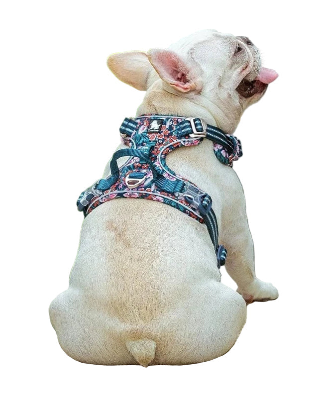 Comfortable &amp; Durable Dog Harness – Vendo