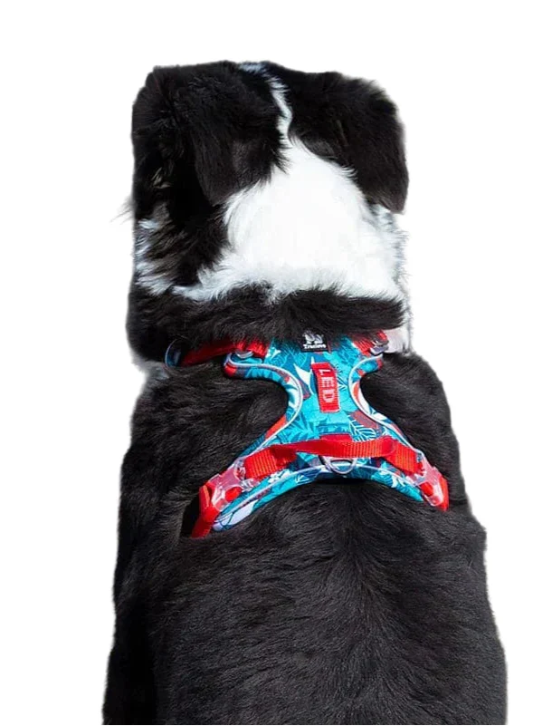 Comfortable &amp; Durable Dog Harness – Vendo