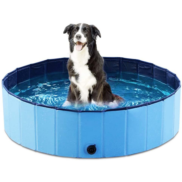 Harry Dog Pool | Nice cooling off in the garden