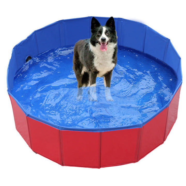 Harry Dog Pool | Nice cooling off in the garden