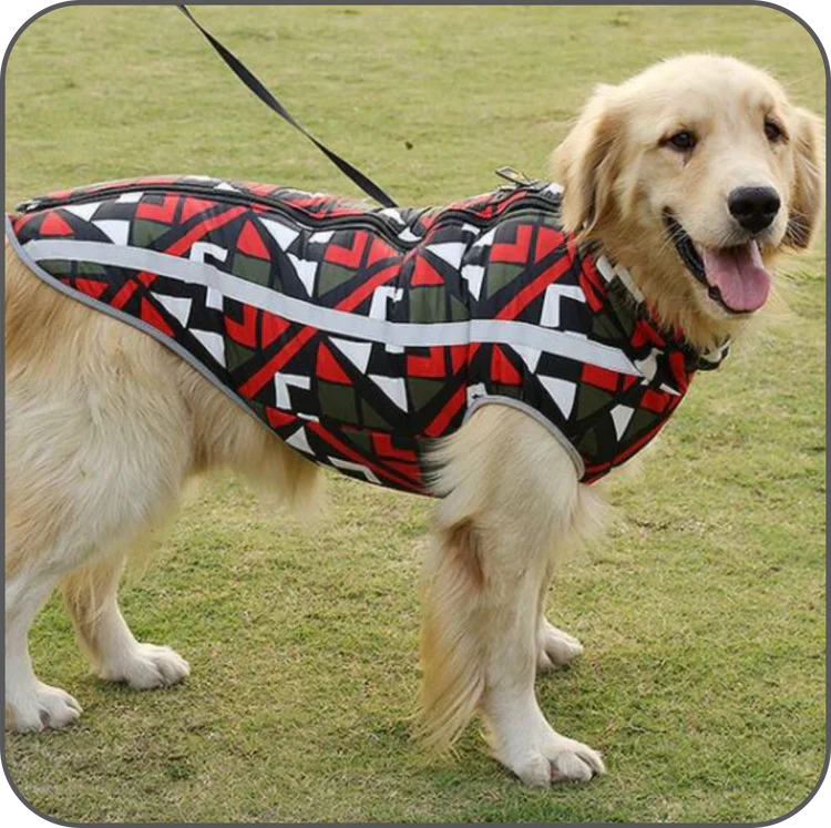 Waterdichte Winterjas voor Honden - StormGuard