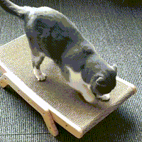 Dé 3-in-1 Krabpaal en Ligstoel voor Katten - ClawLounge™