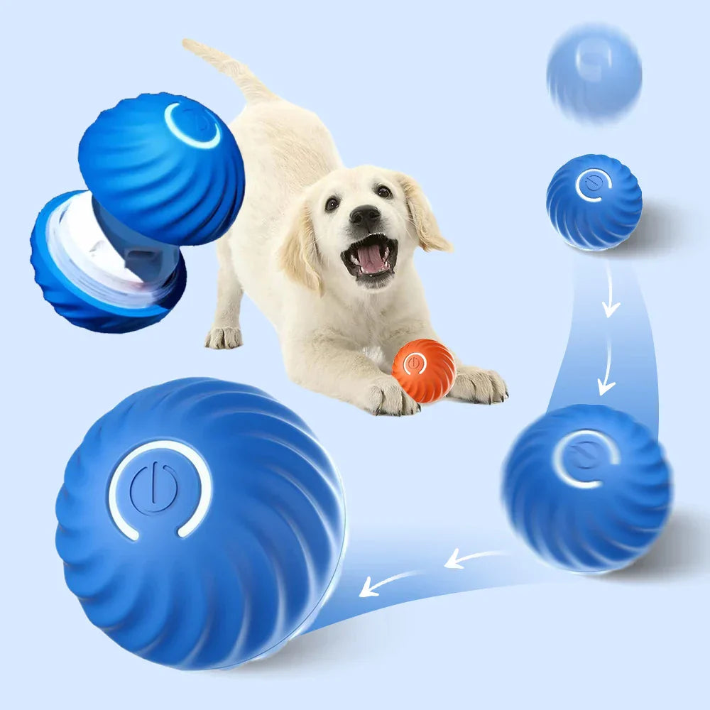 Automatisch Interactief Honden Speeltje - RolliPlay