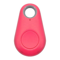 Huisdier GPS Tag - PawFinder