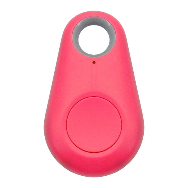 Huisdier GPS Tag - PawFinder