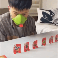 Aktives Froschspiel für Jung und Alt - FrogFlip