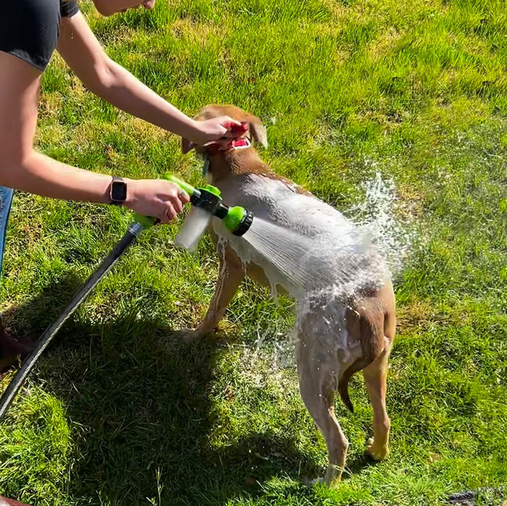 Dog Shower Sprayer - WashBuddy