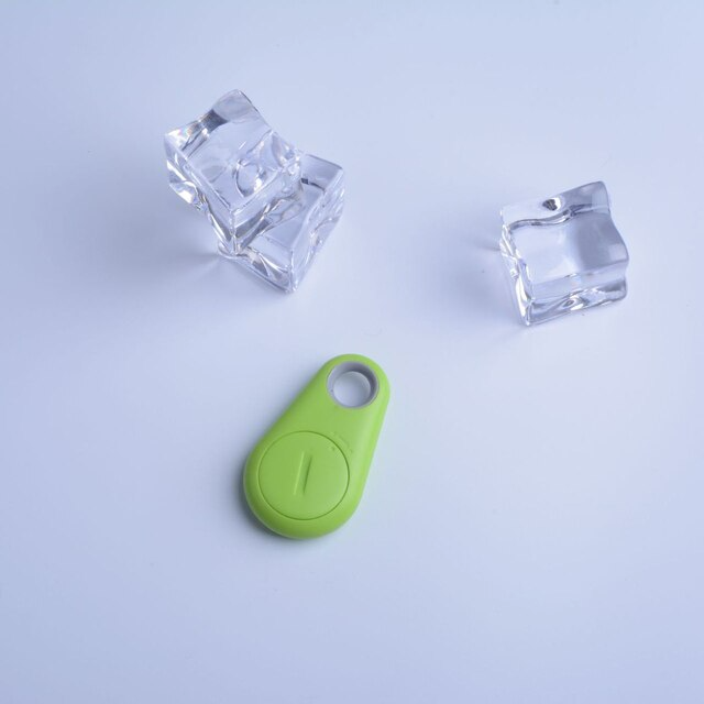 Huisdier GPS Tag - PawFinder