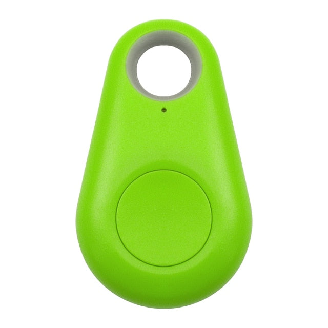 Huisdier GPS Tag - PawFinder