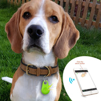 Huisdier GPS Tag - PawFinder