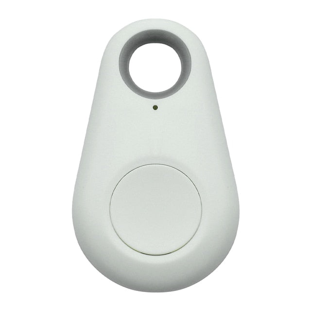 Huisdier GPS Tag - PawFinder