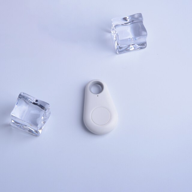 Huisdier GPS Tag - PawFinder