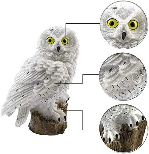 Witte uil met gele ogen op een boomstronk, met uitvergrote details van gezicht, veren en klauwen. 11