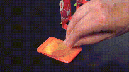Aktives Froschspiel für Jung und Alt - FrogFlip