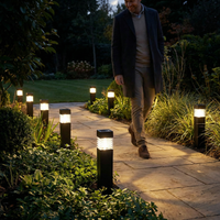 Solar LED Garden Stake Lights for Pathways 1
