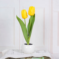 Dekorative LED Tulpen-Tischlampe – Florima