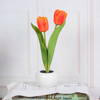 Dekorative LED Tulpen-Tischlampe – Florima