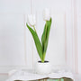 Dekorative LED Tulpen-Tischlampe – Florima