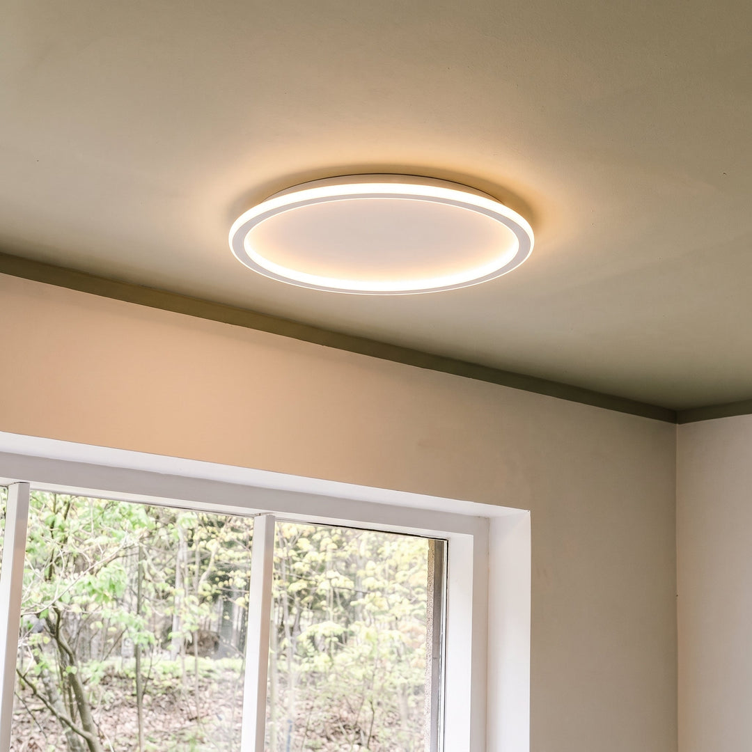 Ronde plafondlamp aan boven een raam met uitzicht op bomen, schuin geplaatst tegen een plafond met een groene rand. 8