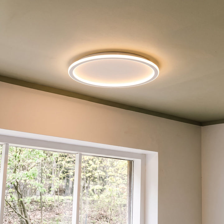 Ronde plafondlamp aan boven een raam met uitzicht op bomen, schuin geplaatst tegen een plafond met een groene rand. 8