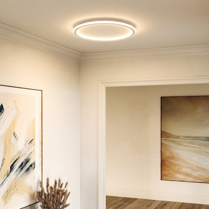 Ronde plafondlamp aan in een woonruimte met lijstwerk, een abstract schilderij links en gedroogde pluimen op de voorgrond. 3