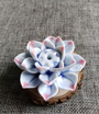 Lotusblumen Räucherstäbchenhalter | Stilvolles Design