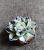 Lotusblumen Räucherstäbchenhalter | Stilvolles Design
