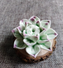 Lotusblumen Räucherstäbchenhalter | Stilvolles Design