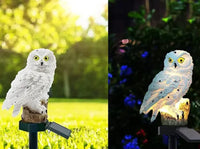 Twee beelden naast elkaar: witte uil met zonnepaneel overdag op het gras en 's avonds verlicht bij blauwe bloemen. 9