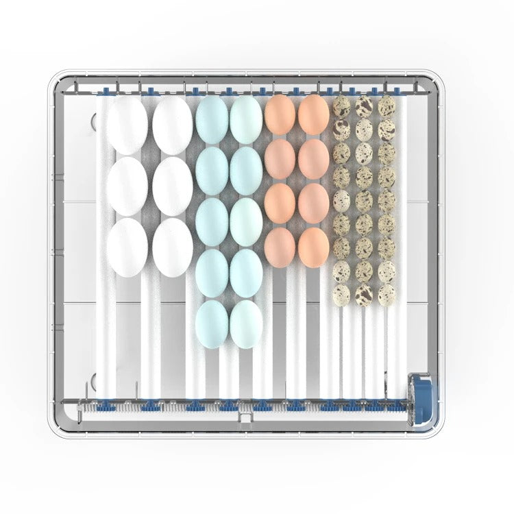 Automatic Incubator – HatchEase