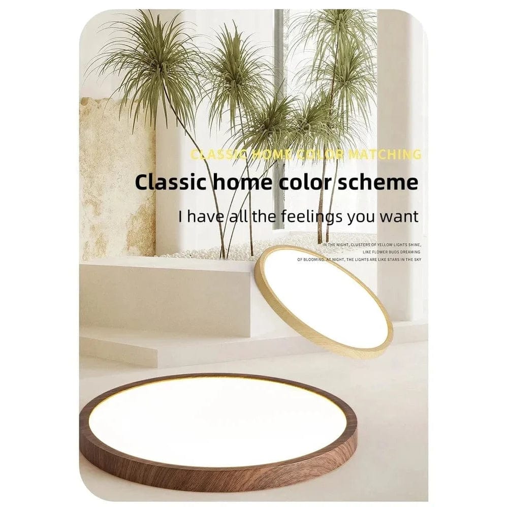 Twee ronde lampen, een lichte en een donkere houtlook, in een sfeervol interieur met decoratieve planten. 4