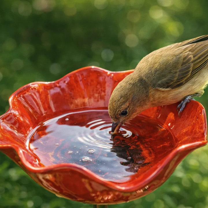 Metal Poppy Flower Bird Bath Stake - Garden & Balcony Decor, 60cm 3