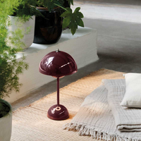 Glanzende bordeauxrode lamp op een rieten mat naast planten, een deken en een kussen 23