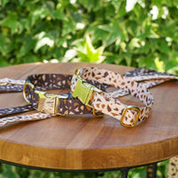 Hondenhalsband met Gouden Accenten – GoldenTerra