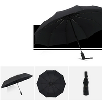 Sturmfester & faltbarer Regenschirm – AeroShield