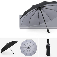 Sturmfester & faltbarer Regenschirm – AeroShield