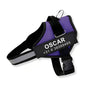 Personalized Dog Harness - Reflective & Supportive Design 15