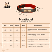 Engraved Leather Dog Collar with Personalized Nameplate 6