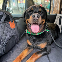 Rottweiler met groene sjaal ligt lachend op de zwarte gewatteerde hoes, met een mesh zijpaneel in beeld. 3