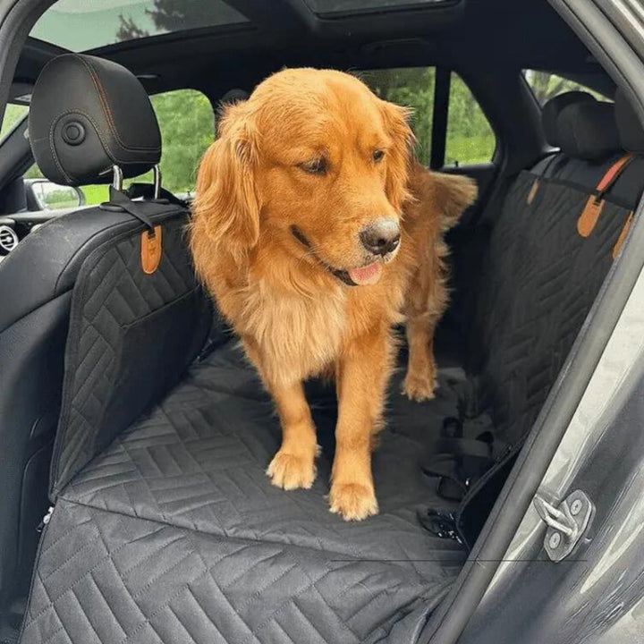 Golden retriever staat op de zwarte gewatteerde hoes op de achterbank van een auto, met bruine lusjes aan de hoofdsteunen. 5