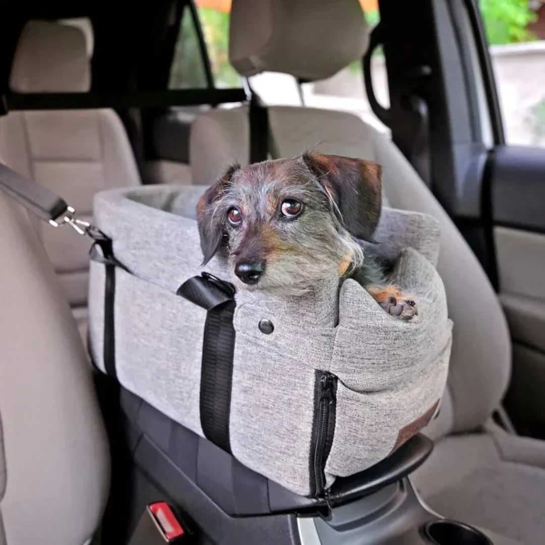 Carpoolzitje voor Huisdieren - PawVoyage