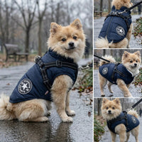 Collage van een pomeranian in een marineblauwe jas met tuig tijdens een regenachtige wandeling, vanuit meerdere hoeken. 6