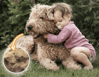 Floating Hair & Lint Remover - FurFree