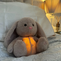 Konijn met oranje gloeiende buik zit tegen een kussen op een bed, met een lamp op de achtergrond. 15